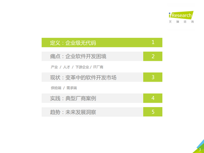 2021年中國(guó)企業(yè)級(jí)無(wú)代碼白皮書(shū) 信息技術(shù)咨詢服務(wù)的新篇章