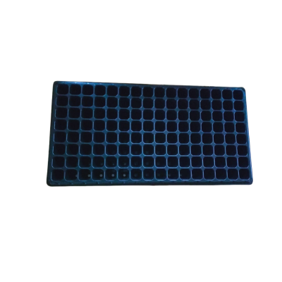 PS Sterile rigid blister box 06